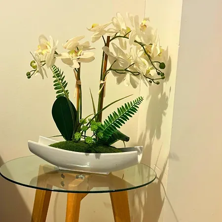 Le Nid Thermal - Wifi - Netflix Апартаменты *